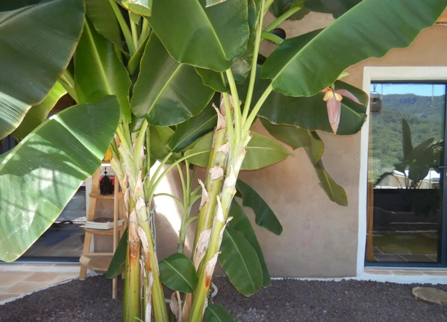 Sawubona Hotel Les Adrets-de-l'Esterel Guest house
